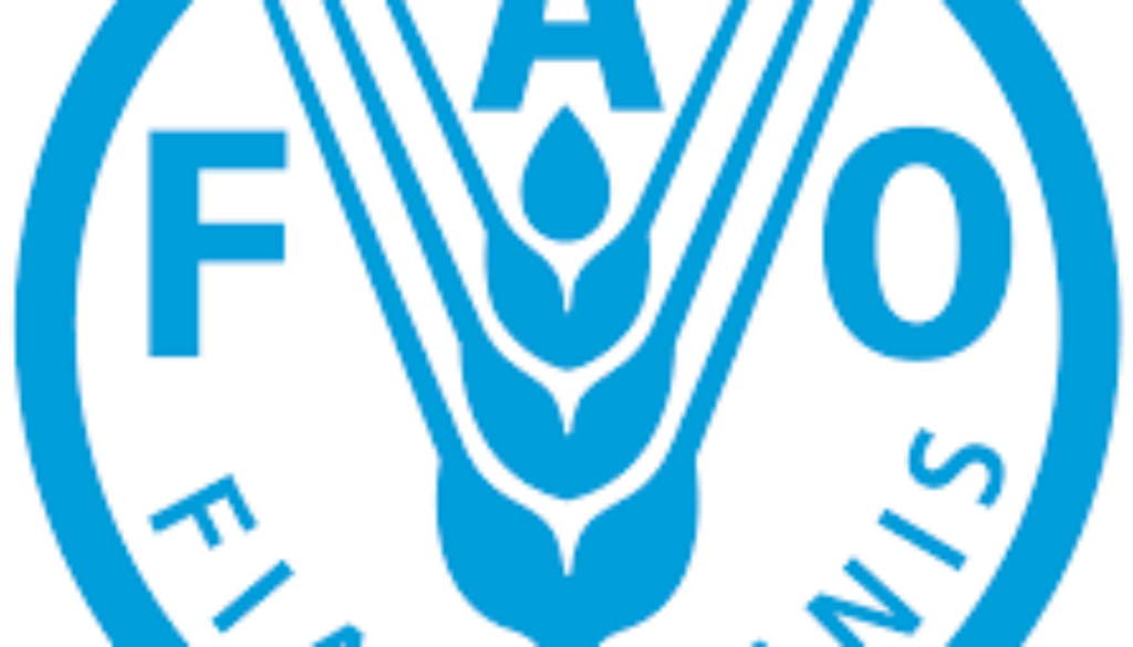National Economist Vacancy Job Ref: VACFAO3228-20