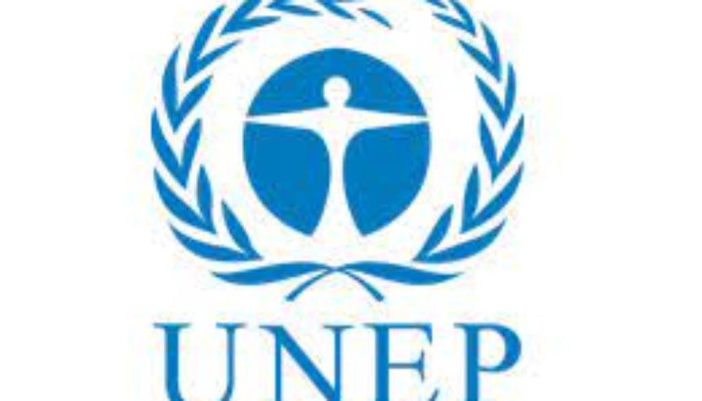 UNEP Logo Environmental Strategy Implementation Consultant Vacancy Job Ref: VACUNEP3228-33